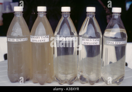 Frascos de muestras de líquido en las diversas etapas del proceso de tratamiento de aguas residuales, tratamiento de aguas residuales Esholt, West Yorkshire, Reino Unido. Foto de stock