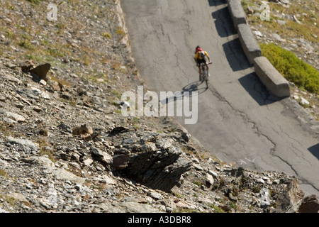 Marmot y ciclista en la carretera más alta de los Alpes hasta el paso de montaña de Stilfserjoch, Tirol del Sur, Italia Foto de stock