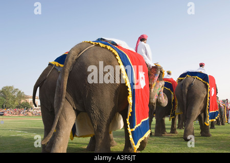 Vista trasera de tres hombres montando elefantes en un festival de elefantes, Jaipur, Rajasthan, India