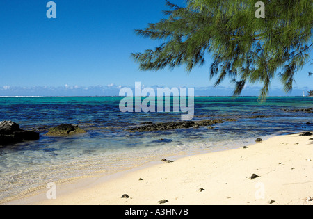 Playa de las islas de la sociedad isla de Moorea polinesia francesa France Foto de stock
