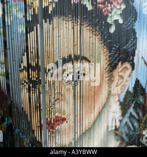 Una cortina bordada con el retrato de la pintora mexicana Frieda Kahlo sobre ella Foto de stock