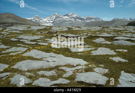 Pavimento de piedra caliza del Parque Nacional de Ordessa Pirineos España