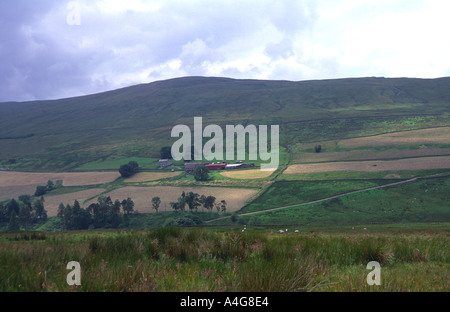 Alston moor Los Peninos del Norte de Inglaterra Foto de stock