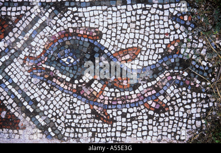 Mosaico de pescado romanas, Soli, Guzelyurt, Chipre Septentrional, T.R.N.C. Foto de stock