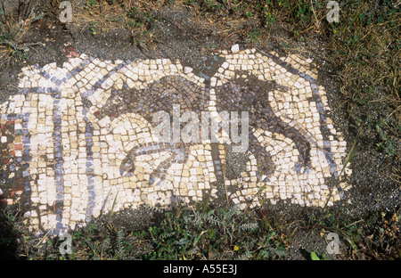 Bear mosaico romano, Soli, Guzelyurt, Chipre Septentrional, T.R.N.C. Foto de stock