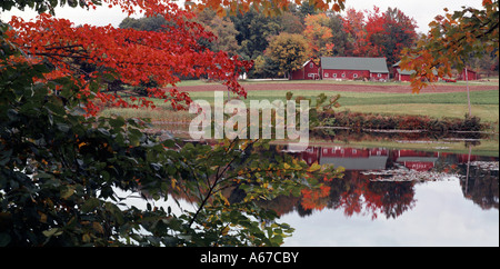 Granja estanque refleja el otoño cerca de Brandon en Vermont Foto de stock