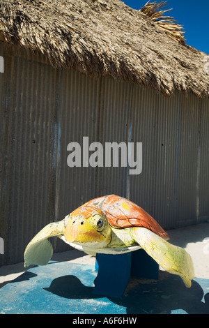 Belice San Pedro Ambergris Caye tortuga pintada en el centro de park Foto de stock