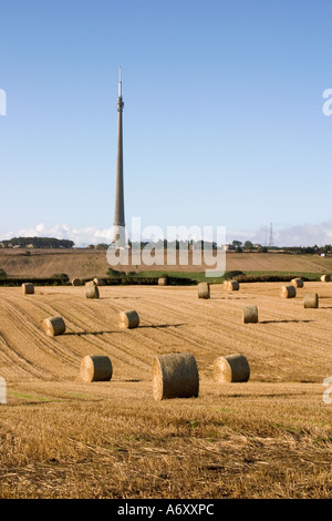 Vista del páramo Emley Mástil de televisión a través de los campos con los fardos de heno sol de la tarde Foto de stock