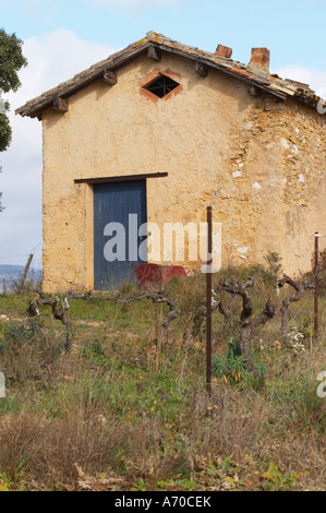 Domaine Alain Chabanon, previamente Font Caude, en la aldea de Lagamas. Montpeyroux. El Languedoc. Una vertiente de la herramienta choza en la viña. Foto de stock