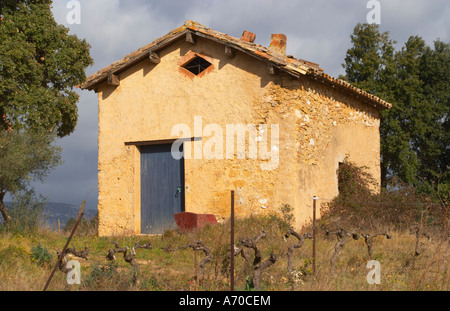 Domaine Alain Chabanon, previamente Font Caude, en la aldea de Lagamas. Montpeyroux. El Languedoc. Una vertiente de la herramienta choza en la viña. Foto de stock