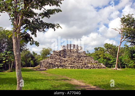 México cozumel ruinas Mayas de San Gervasio estructura de piedra Fotografía  de stock - Alamy