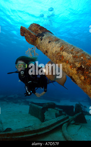 Buceador y el pez Ángel Gris POMACANTHUS ARCUATUS EN EL ORO VERDE NAUFRAGIO Grand Cayman