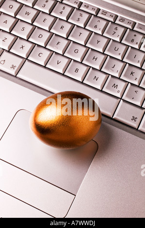 Huevo de Oro en portátil teclado, red, redes, informática, programación, proces Foto de stock