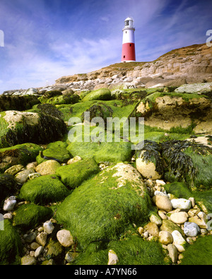 GB - Dorset: Portland Bill Faro