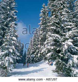 Esquí en la nieve fresca, profunda, Araches Haute Savoie, Alpes franceses, Francia Foto de stock