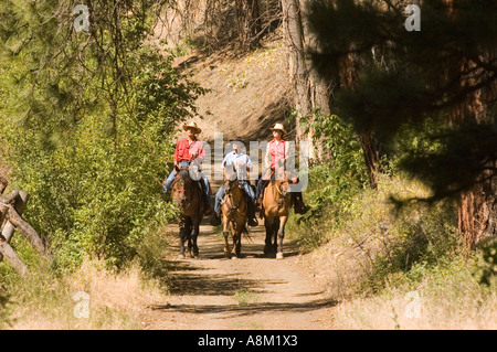 IDAHO Indian Creek Rancho de Huéspedes invitados montando a caballo en el sendero de la selva cerca de los principales ríos de salmón y Id Shoupe MR Foto de stock