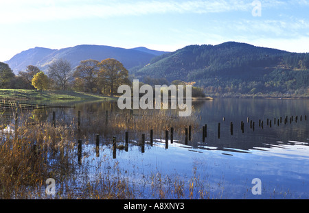 De Bassenthwaite Lake SEIC en Cumbria inglés Lake District National Park Foto de stock