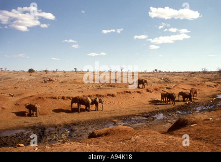 Paisaje asoladas por la sequía de los elefantes en el Parque Nacional de Tsavo East África oriental Kenia