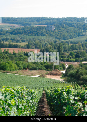 Viñedos de Francia en la región de Champaña con chateau en distancia Foto de stock
