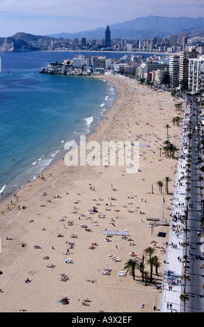 Vista aérea de la vertical de la playa de Levante de Benidorm hacia el sur hasta la Costa Blanca cabecera Provincia Alicante Valencia España Foto de stock