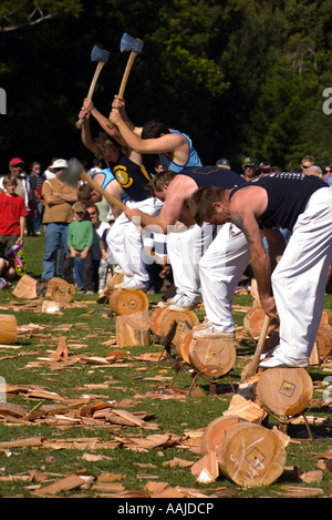 La competencia de leñadores de hombre corte con registro ax ax en una feria  del condado de demostración del deporte Fotografía de stock - Alamy