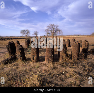 Círculos de piedra de Wassau en Gambia África Occidental Foto de stock