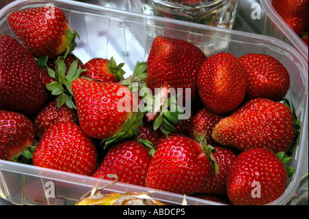 fresas Foto de stock