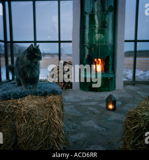 Un gato en un fardo de heno en una habitación con una estufa de cerámica. Foto de stock