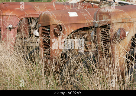 Una fila de viejos Vintage 1950 tractores agrícolas oxidar en un campo en el sur oeste de Francia Foto de stock