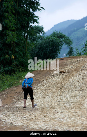 Zay mujer sombrero cónico sube empinado camino rocoso de Ta Van aldea cerca de Sapa Vietnam del norte Foto de stock