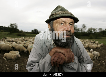 Heinz Sheepherder con sus ovejas cerca de la ciudad de Múnich Muenchen am 18 08 2007 Foto de stock