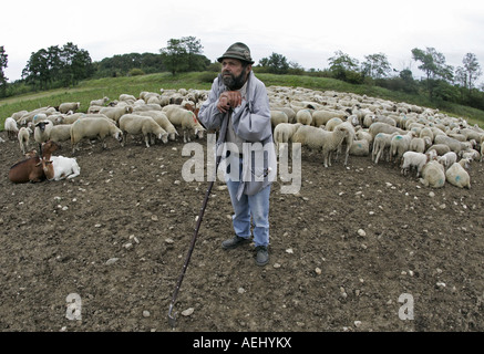 Heinz Sheepherder con sus ovejas cerca de la ciudad de Múnich Muenchen am 18 08 2007 Foto de stock