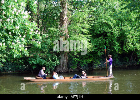 Los estudiantes navegar por el Río Cherwell, Oxford, Oxford, Inglaterra, Reino Unido Foto de stock