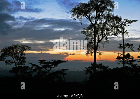 Amanecer sobre la selva tropical africano con la niebla borrando, Ghana, África occidental Foto de stock