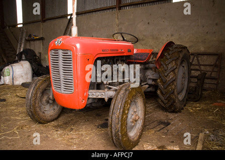 Vintage clásico era tractor Massey Ferguson sigue ganándose su mantener Foto de stock