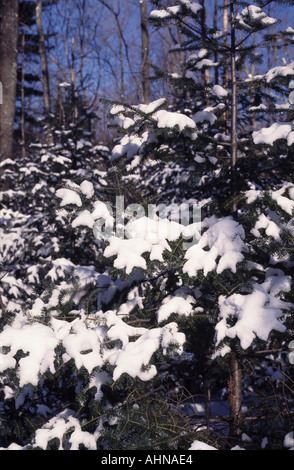 Wisconsin en invierno Foto de stock