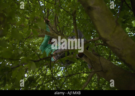 Resultado de una chica que se subió a un árbol Foto de stock