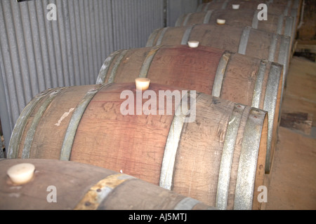 Gran roble en barrells Tyrrell s vinos Bodega en zona vinícola de Hunter Valley de Nueva Gales del Sur (NSW, Australia Foto de stock