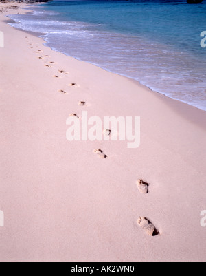 Huellas en la arena junto al borde del agua, Warwick Long Bay, Warwick, Bermuda Foto de stock