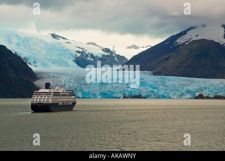 Skúas, Glaciar Amalia Bay en los fiordos chilenos del sur de Chile Foto de stock