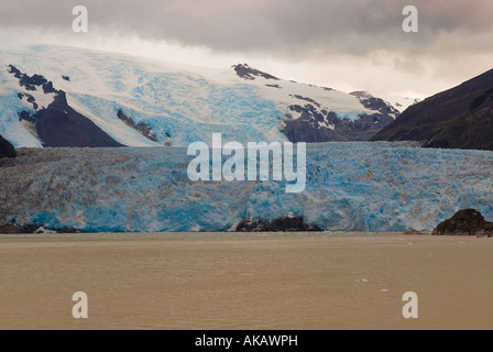 Skúas, Glaciar Amalia Bay en los fiordos chilenos del sur de Chile Foto de stock