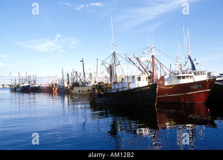 Barcos de pesca New Bedford MA Foto de stock
