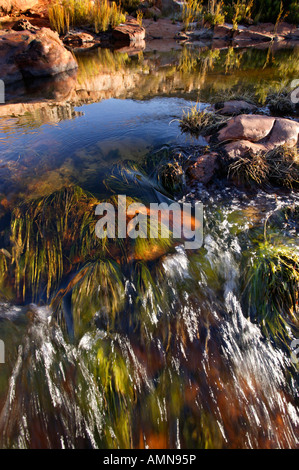 Un claro arroyo de montaña en la región de Cedarberg Foto de stock