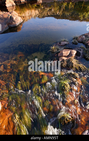 Un claro arroyo de montaña en la región de Cedarberg Foto de stock