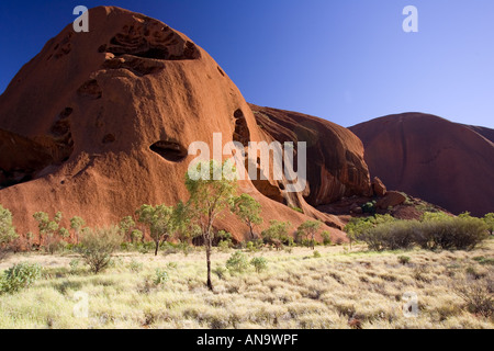 Los árboles en la base del Uluru Ayers Rock Australia central rojo