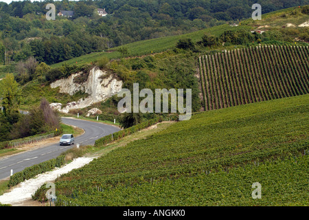 Viñedos de la región de Champagne cerca de Epernay Francia Europa UE Foto de stock