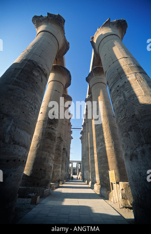 Hypostyle hall, Templo de Amun, Karmak, Luxor, Egipto Foto de stock