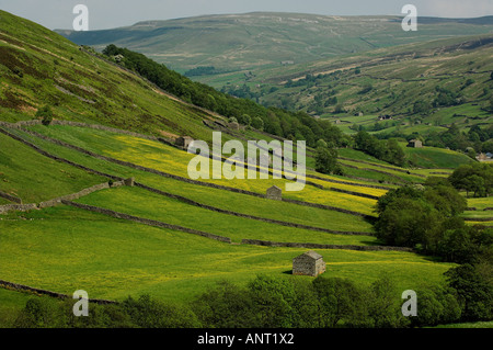 Mirando hacia Thwaite de Keld Swaledale Yorkshire Dales National Park Foto de stock