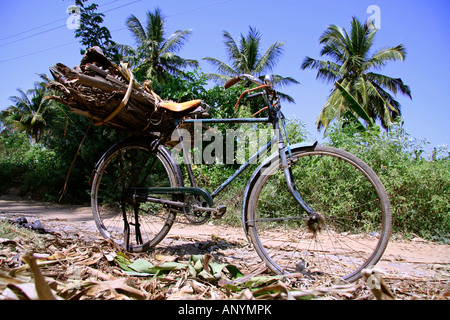 A la antigua usanza en bicicleta banana grove india hampi