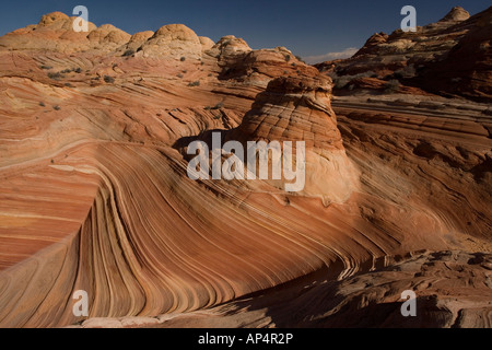 La ola de una extraordinaria zona de sinuosas bandas erosionadas rocas areniscas en el paria Vermillion Cliffs National Monument Arizona